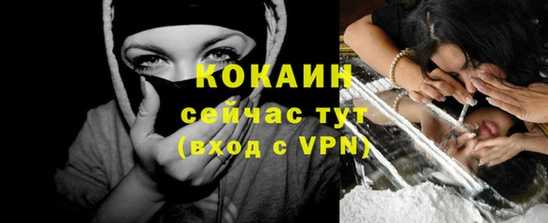 сатива Михайловск