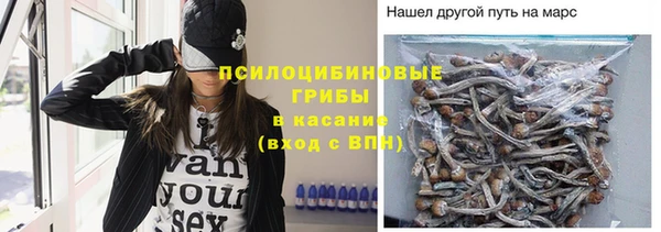 сатива Михайловск